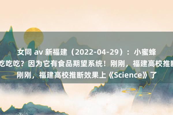 女同 av 新福建（2022-04-29）：小蜜蜂为什么握住地采采采、吃吃吃？因为它有食品期望系统！刚刚，福建高校推断效果上《Science》了