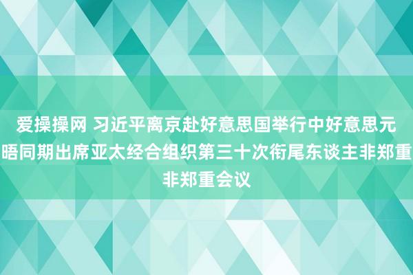 爱操操网 习近平离京赴好意思国举行中好意思元首会晤同期出席亚太经合组织第三十次衔尾东谈主非郑重会议