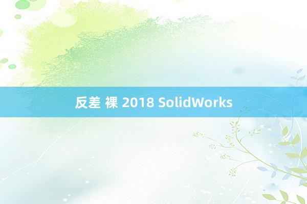 反差 裸 2018 SolidWorks