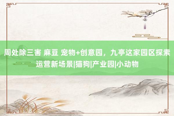 周处除三害 麻豆 宠物+创意园，九亭这家园区探索运营新场景|猫狗|产业园|小动物