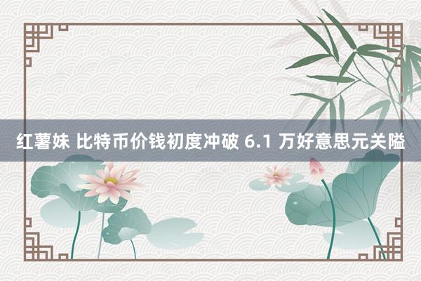 红薯妹 比特币价钱初度冲破 6.1 万好意思元关隘