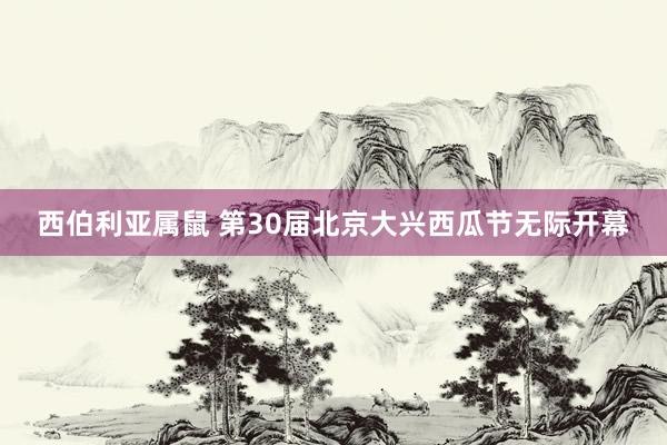 西伯利亚属鼠 第30届北京大兴西瓜节无际开幕