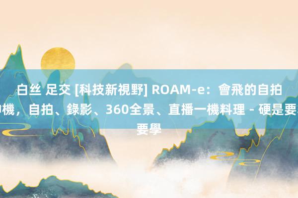 白丝 足交 [科技新視野] ROAM-e：會飛的自拍神機，自拍、錄影、360全景、直播一機料理 - 硬是要學