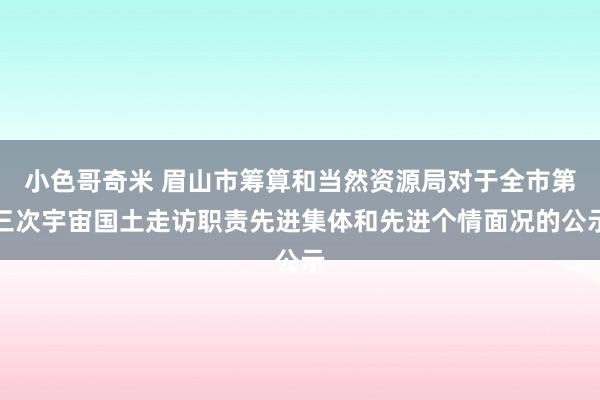 小色哥奇米 眉山市筹算和当然资源局对于全市第三次宇宙国土走访职责先进集体和先进个情面况的公示